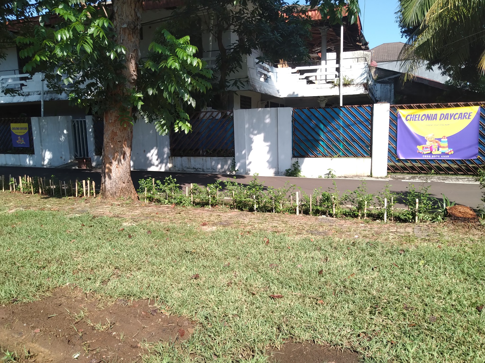 Penitipan Anak Chelonia Daycare